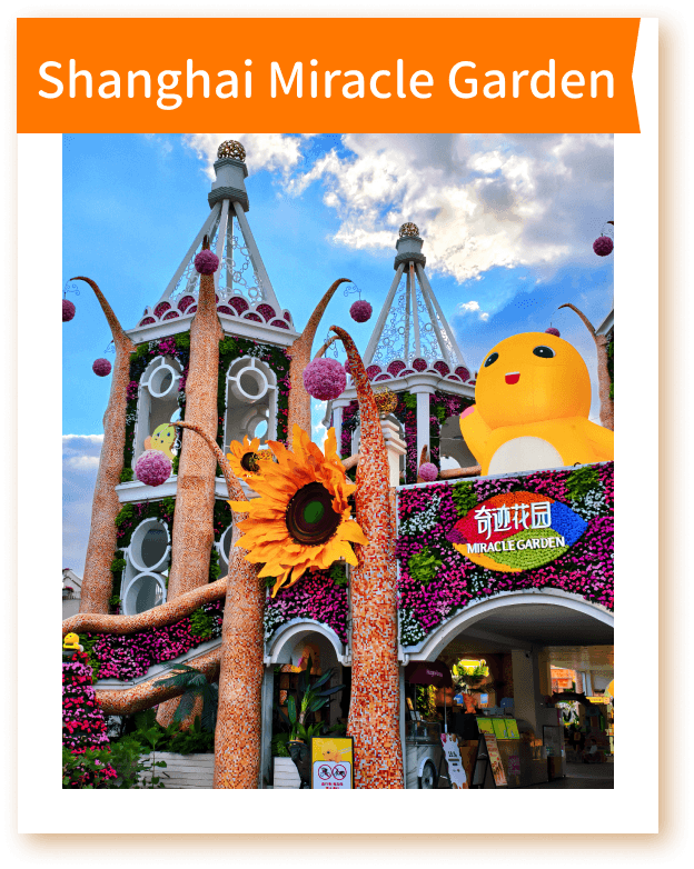 Nailoong × Shanghai Miracle Garden